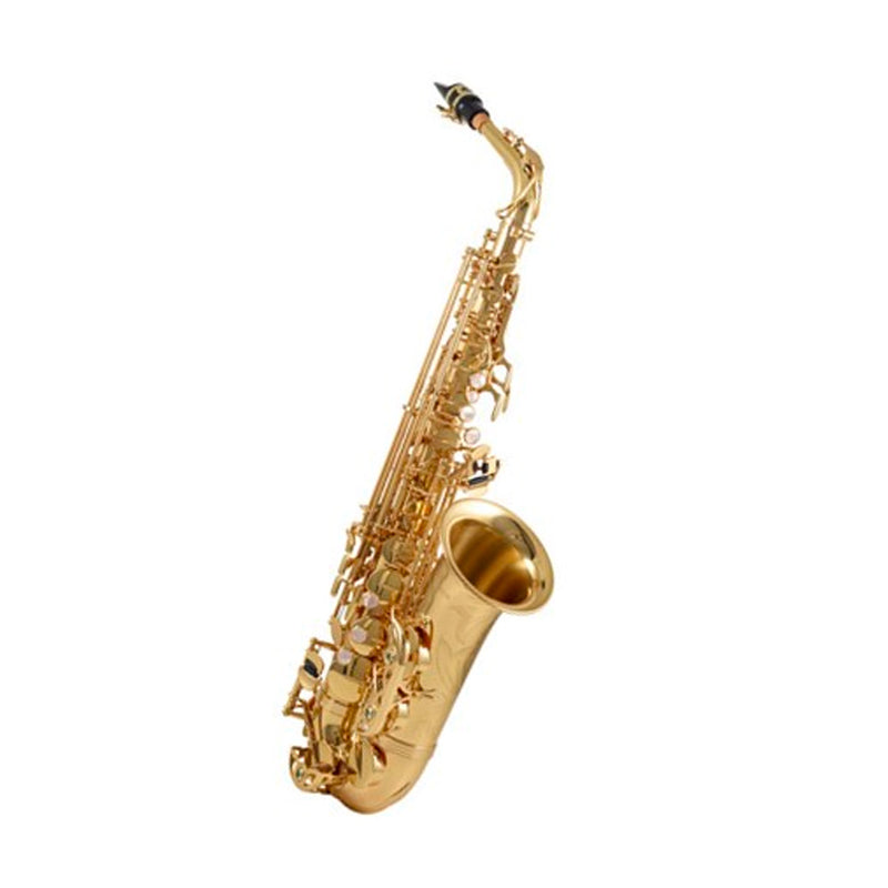 Yanagisawa A-WO10 Professional Alto Saxophone